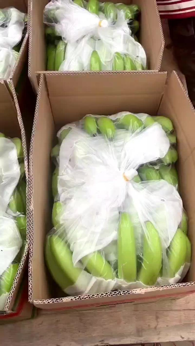云南红河金平香蕉！