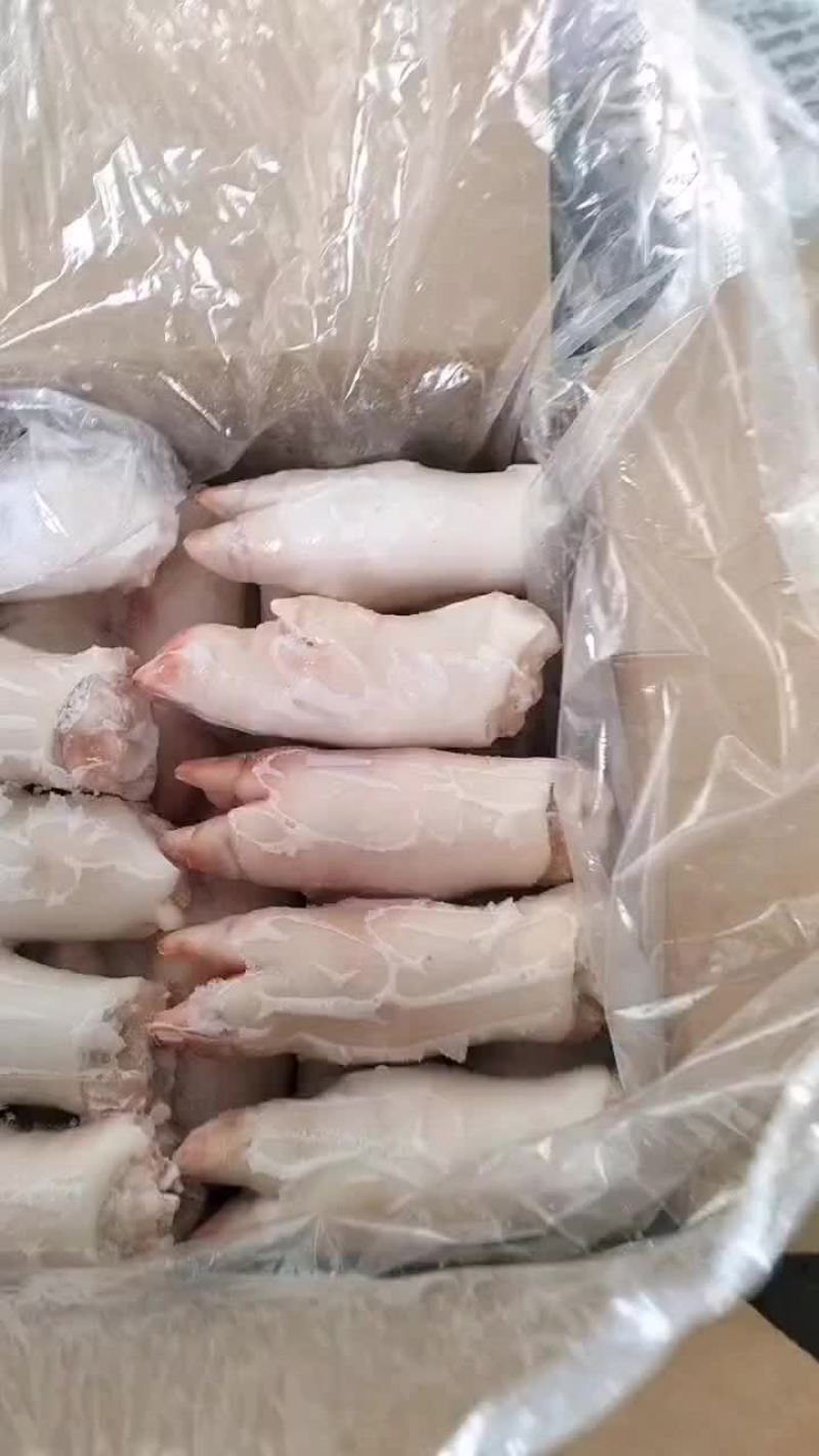 二级猪蹄