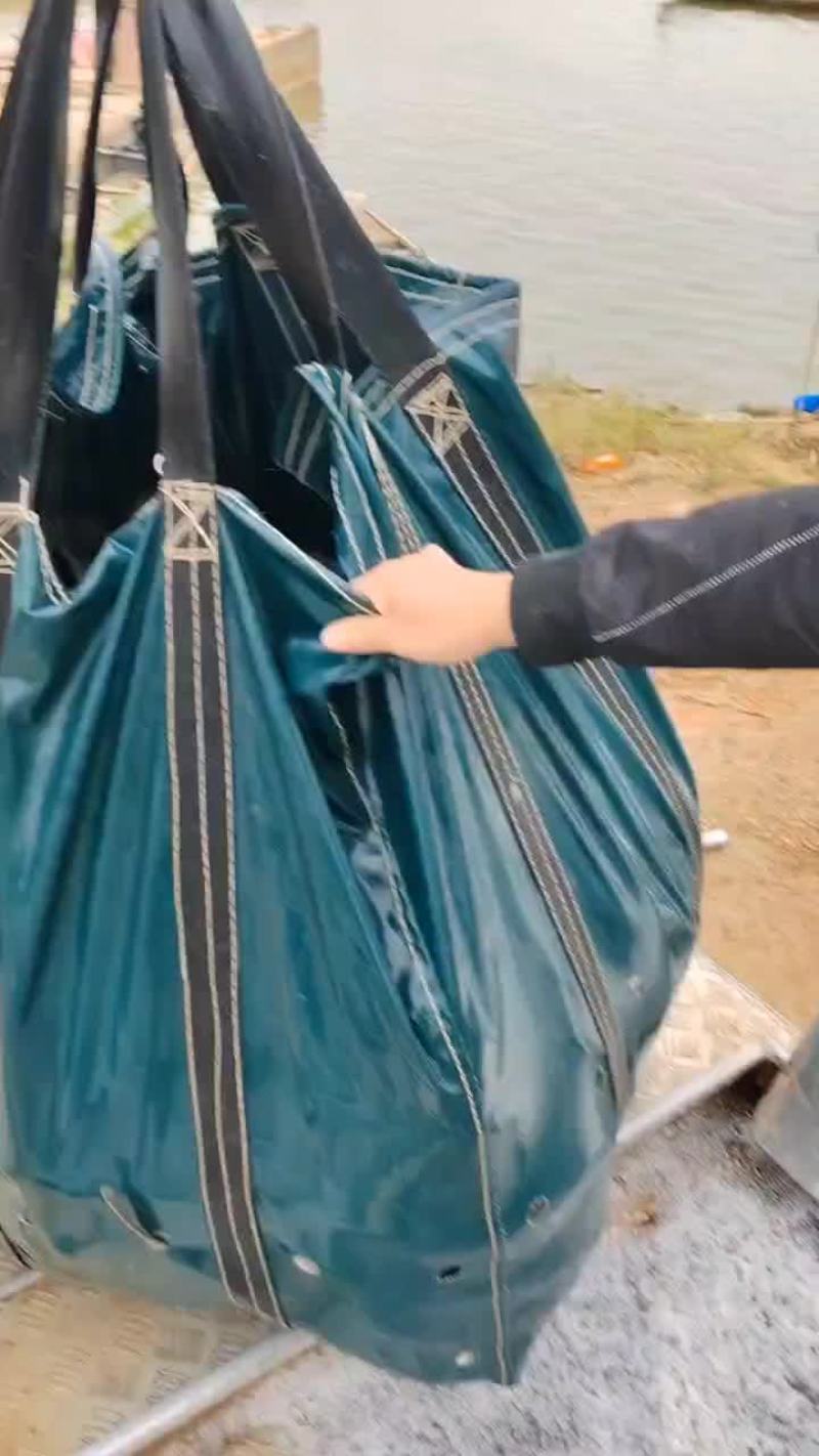 花鲢