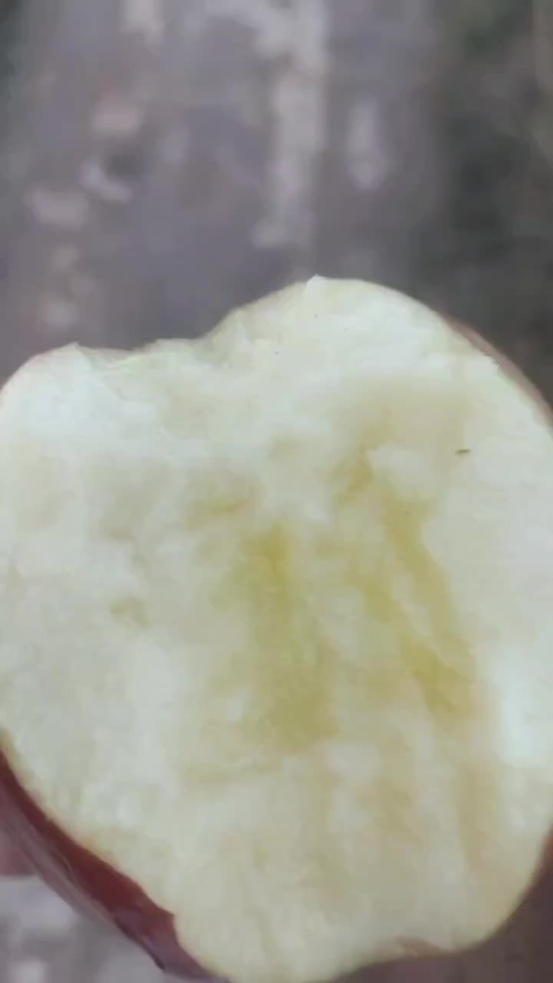 甘肃新红心富士都有