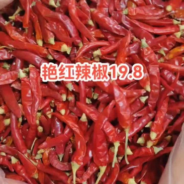 艳红辣椒云南小米辣产地直发高辣椒朝天椒