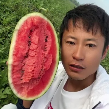黑美人西瓜