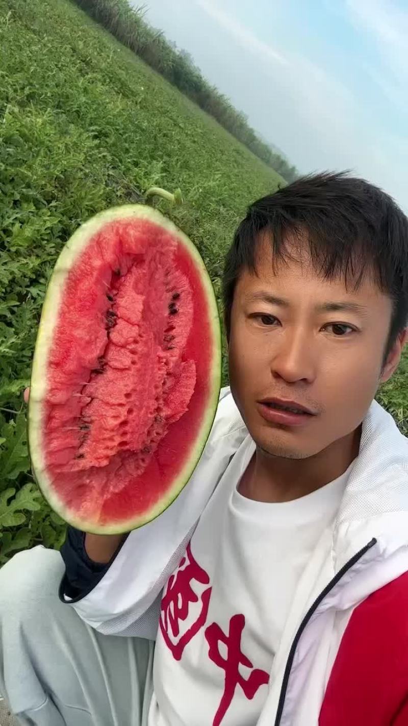 黑美人西瓜