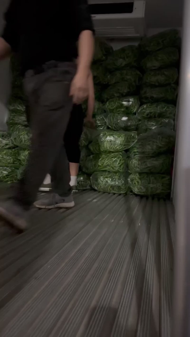 贵州大棚尾期螺丝椒，大量供应电商货。