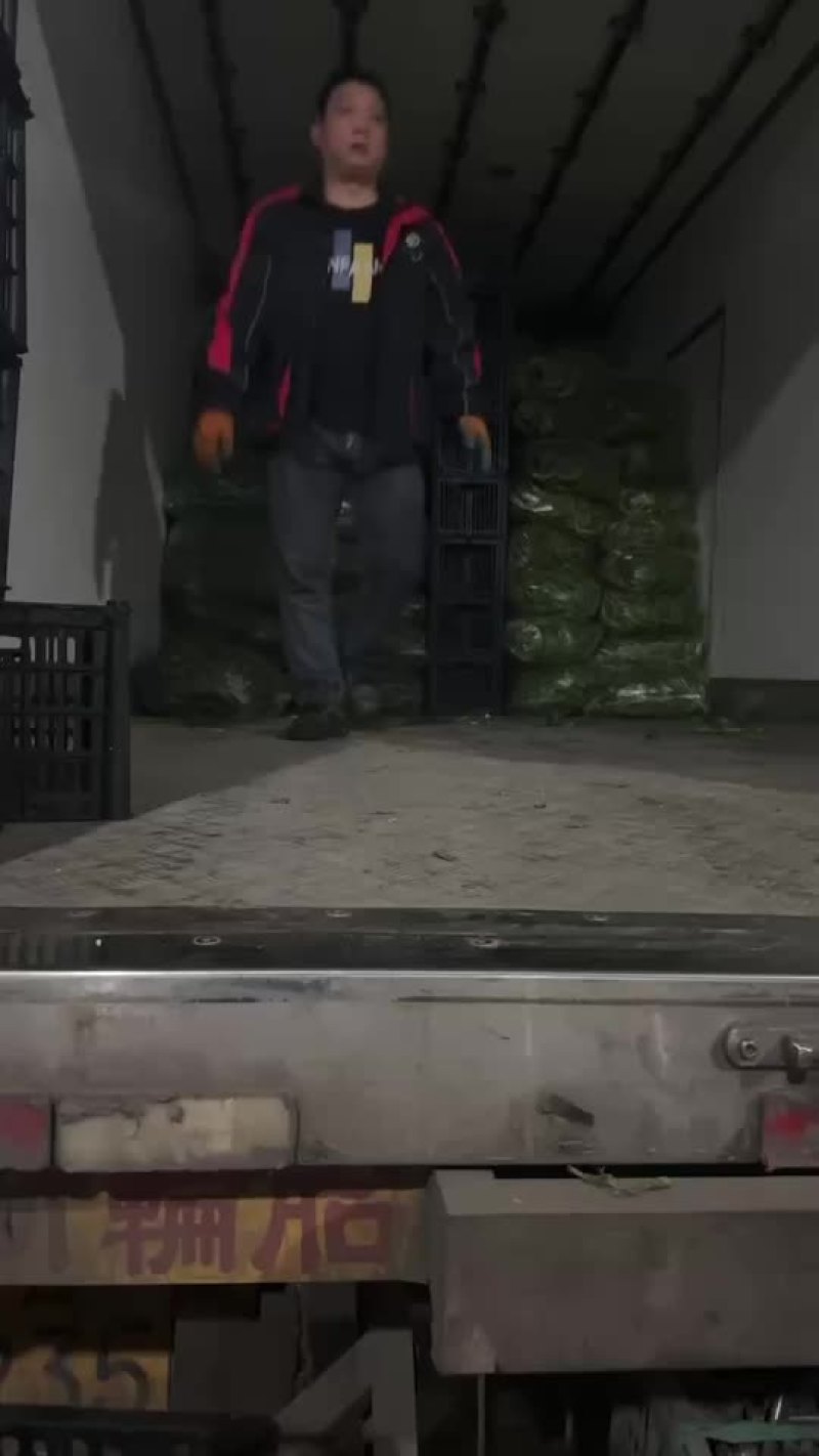 贵州大棚尾期螺丝椒，大量供应电商货。