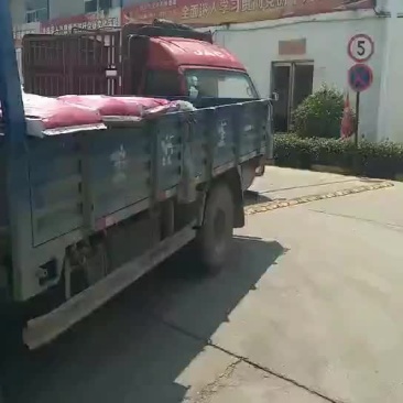 上市公司大品牌大北农