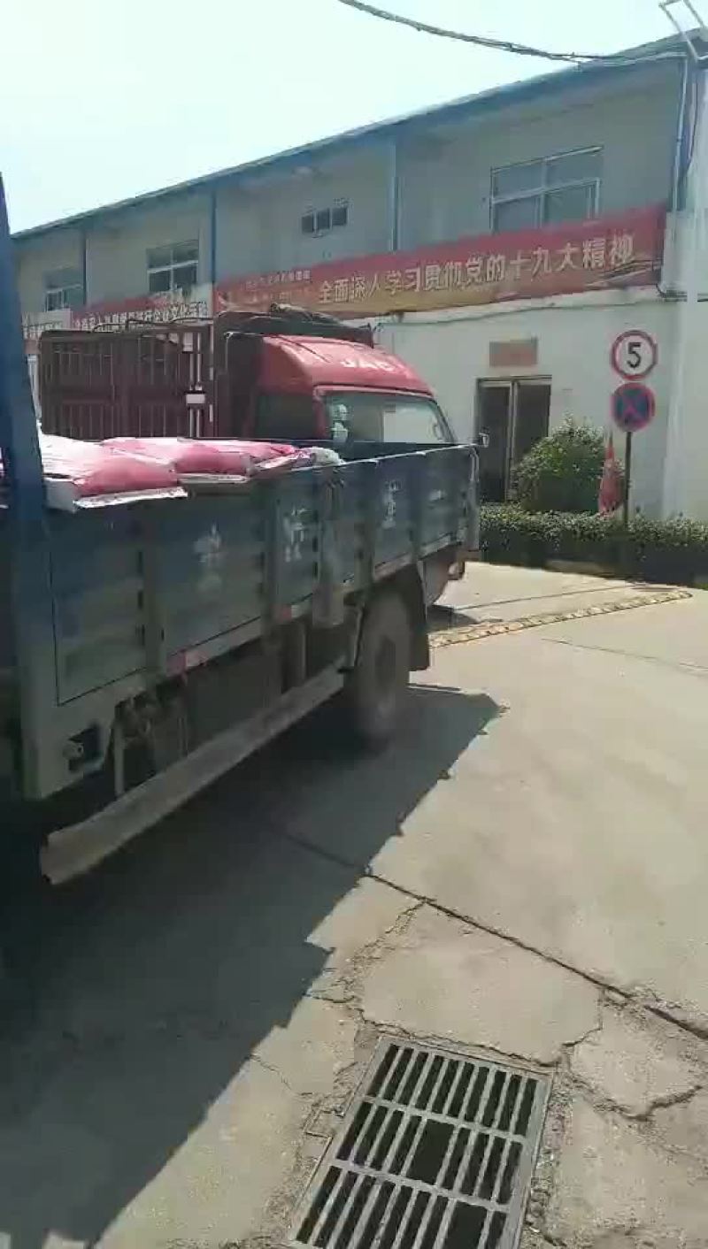 上市公司大品牌大北农