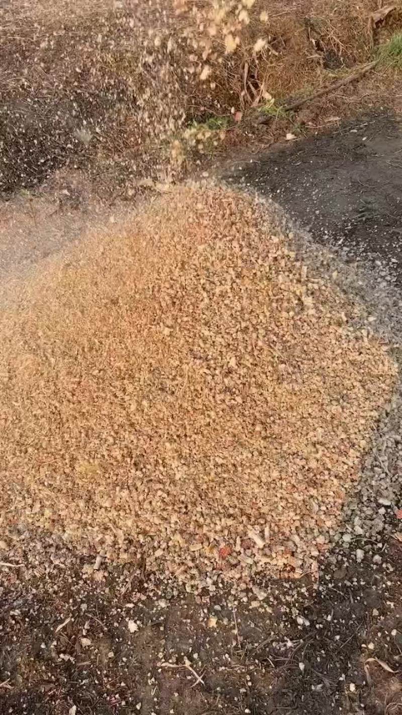 精品玉米芯颗粒