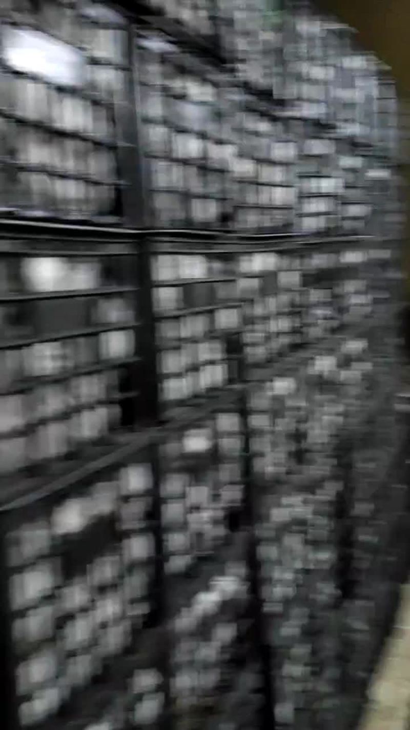 青皮皇冠梨
