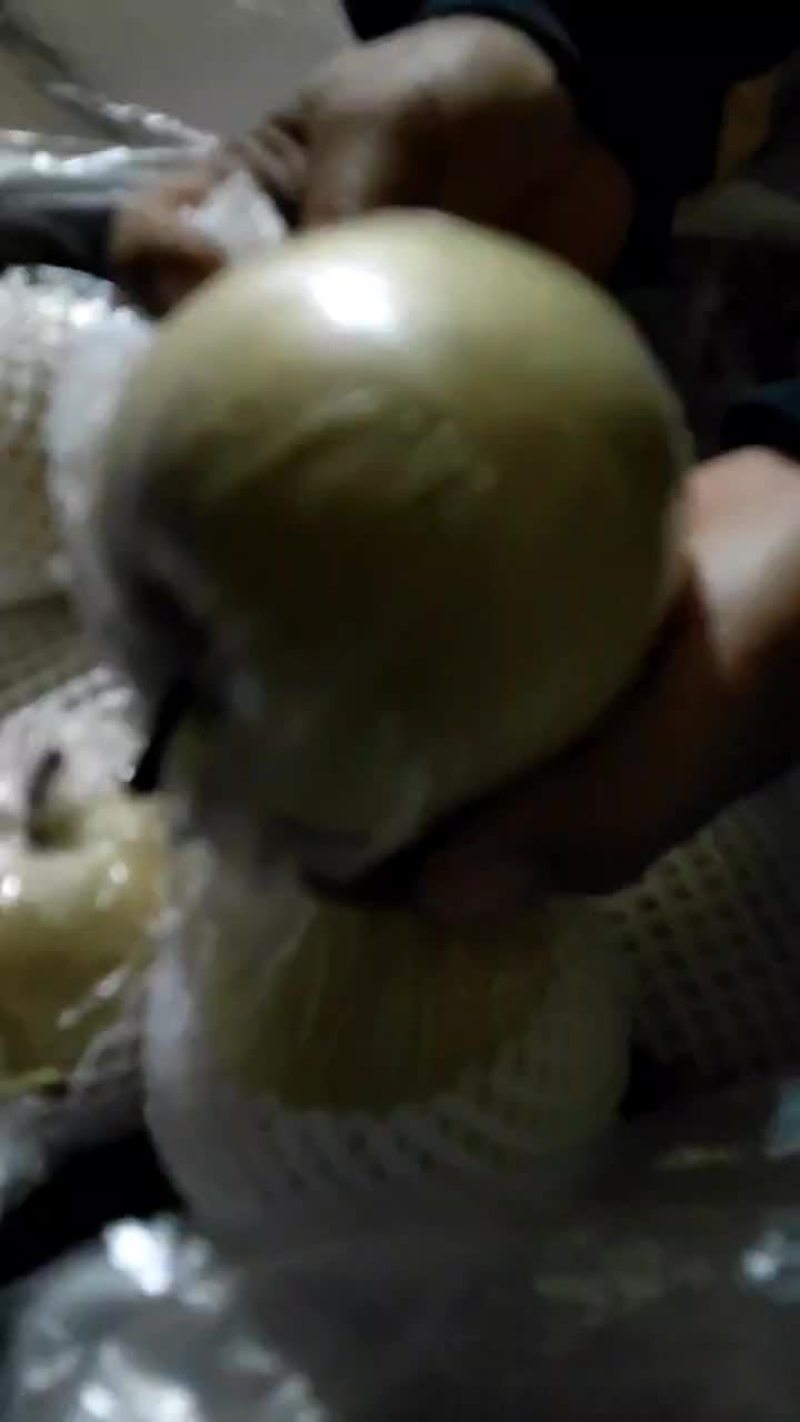 青皮皇冠梨