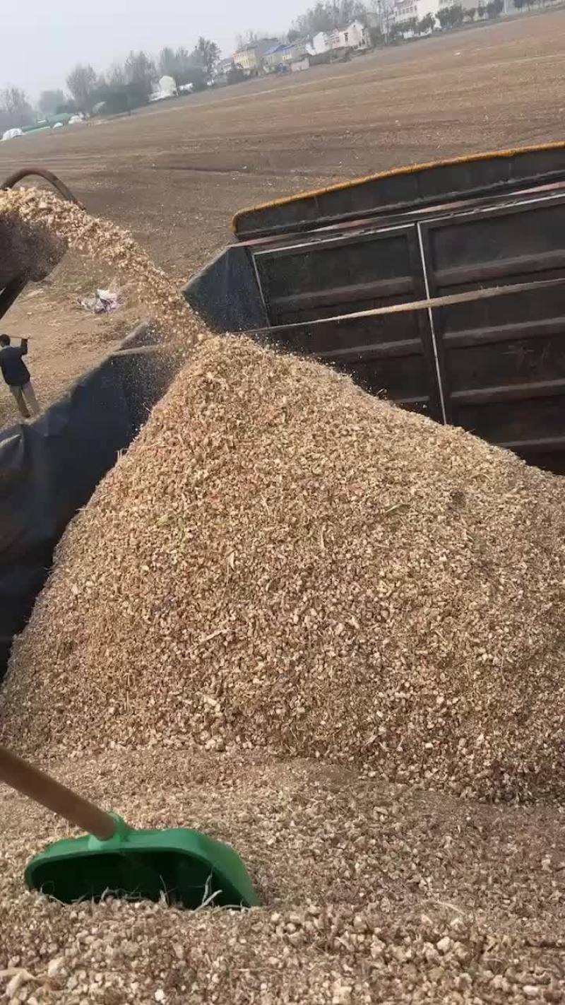 精品玉米芯颗粒