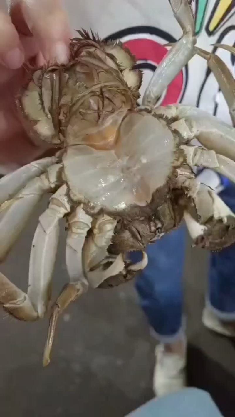 湖北洪湖产地批发；大闸蟹，青壳白底，一件包邮，诚信经营！