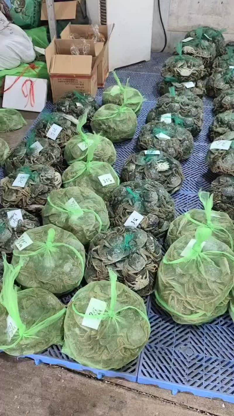 湖北洪湖产地批发；大闸蟹，青壳白底，一件包邮，诚信经营！