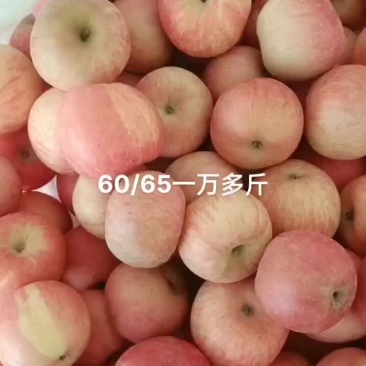 商品小苹果