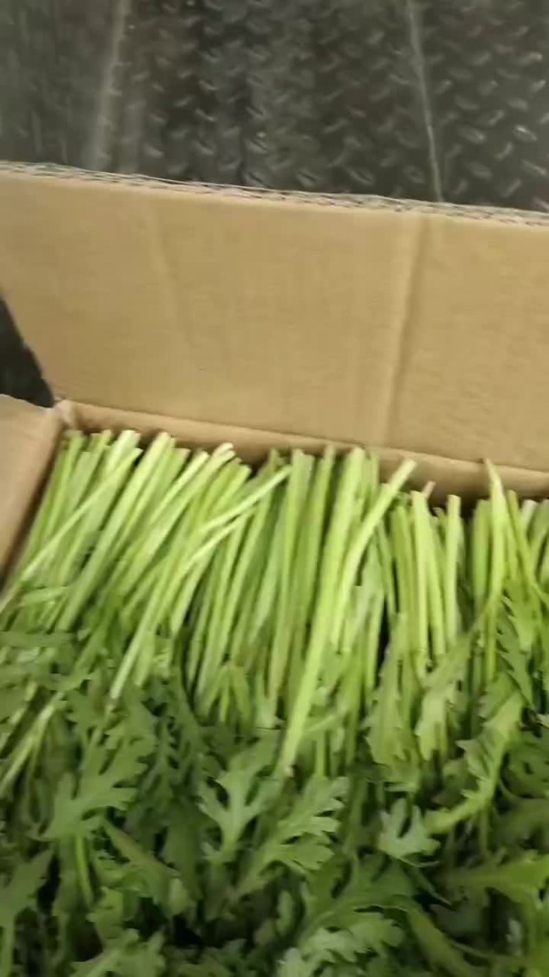 精品茼蒿