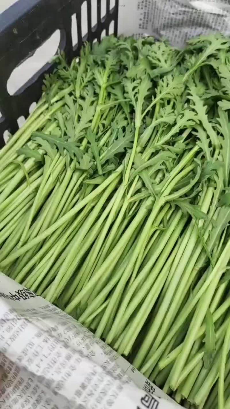 精品茼蒿