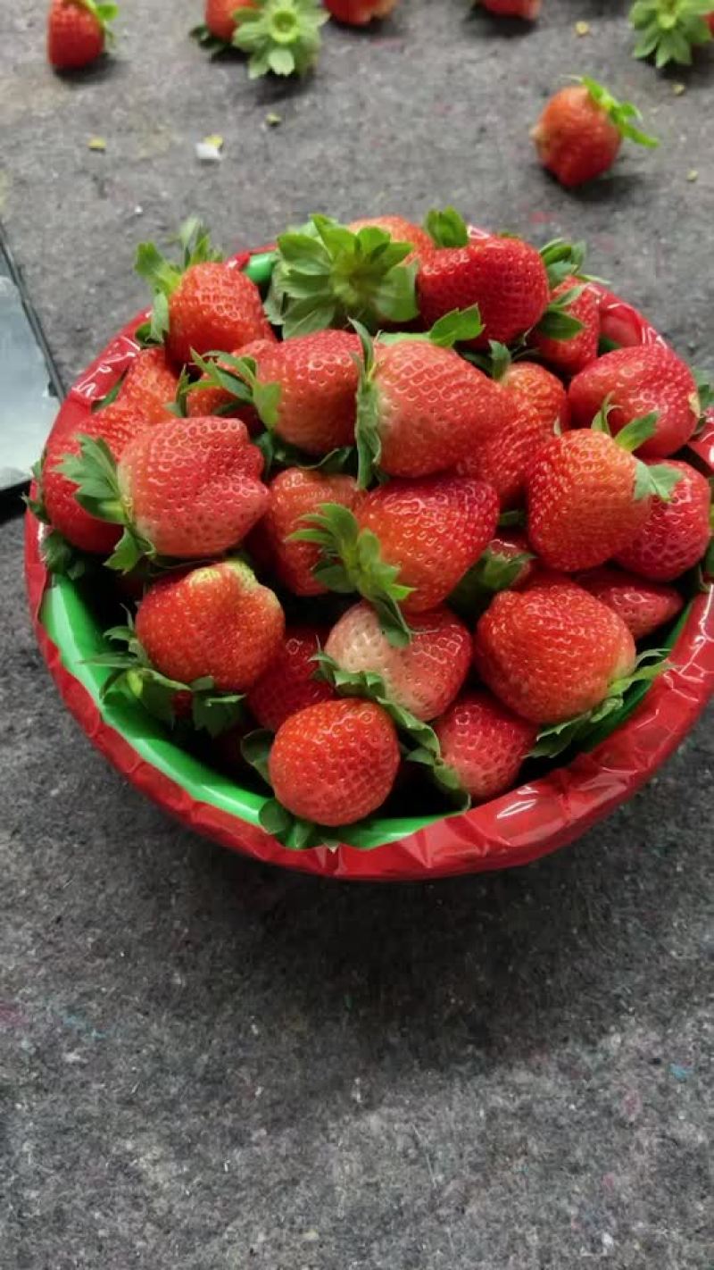 徐州草莓大量上市