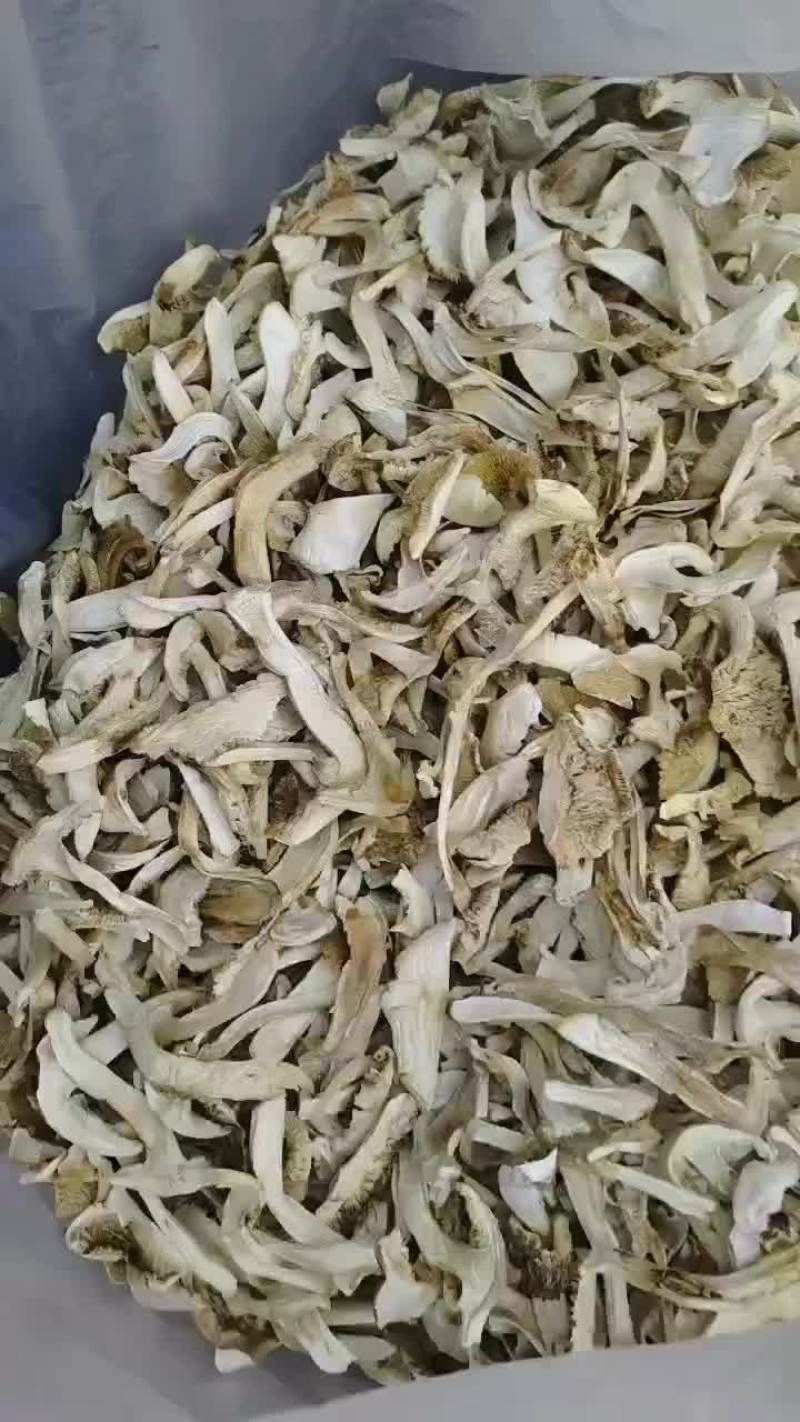 松茸干片