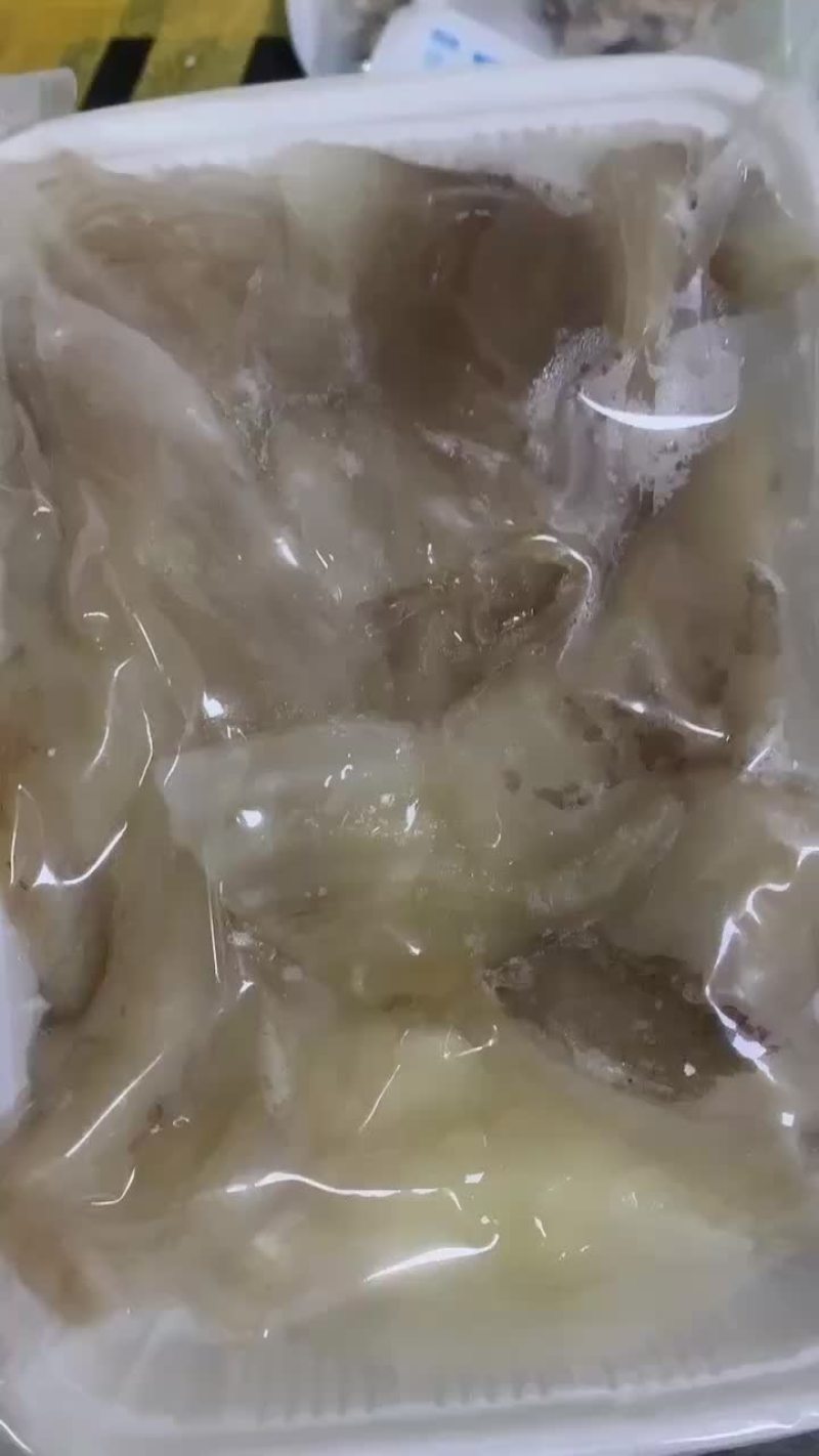 鱼唇（AAA级）