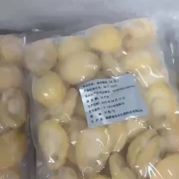 鲍鱼