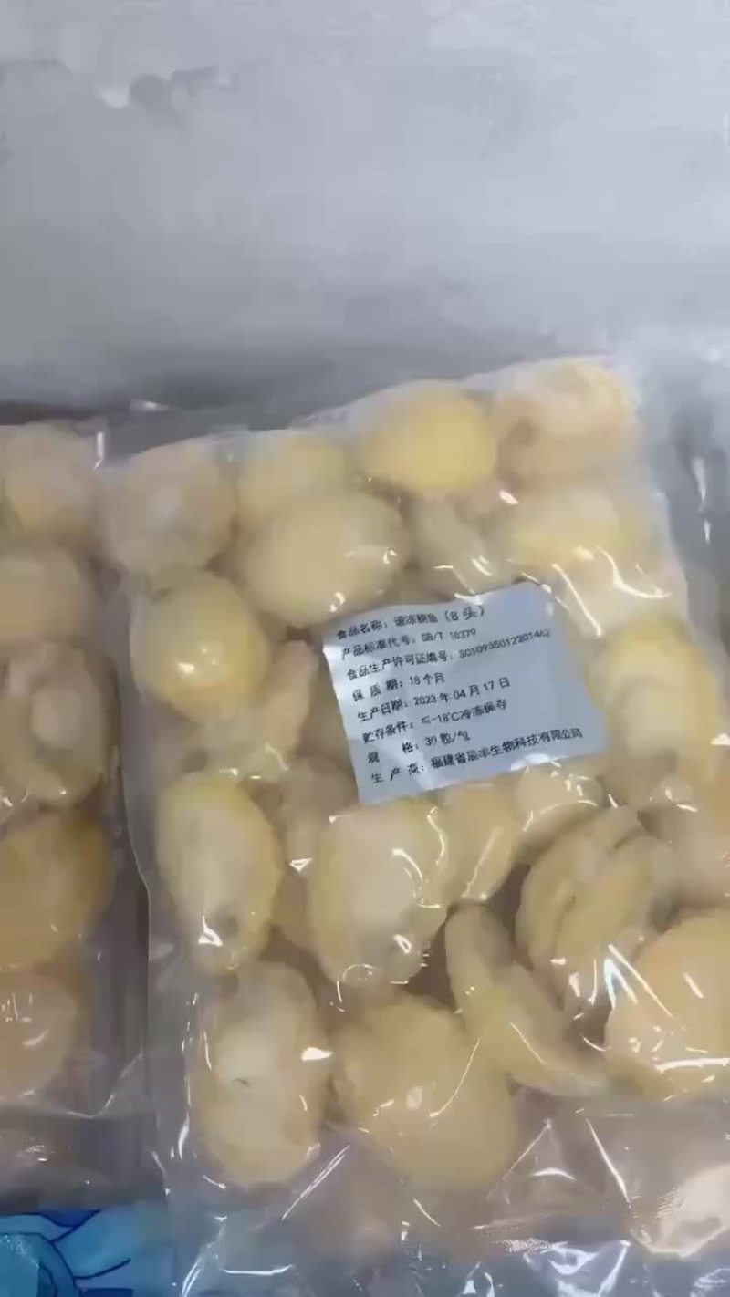鲍鱼