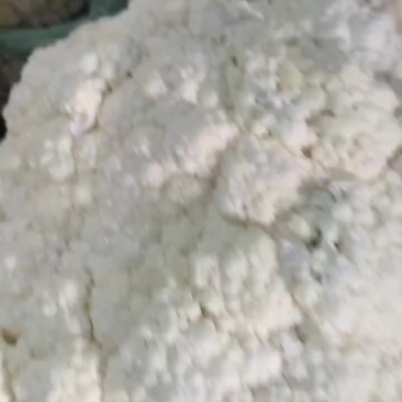 精品小米粒有机花菜