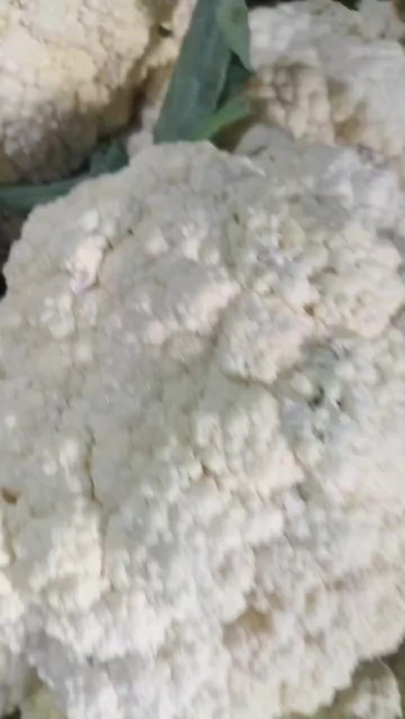 精品小米粒有机花菜