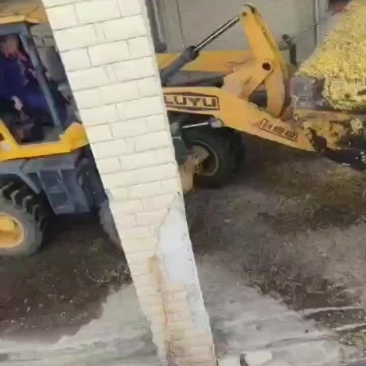 罗汉果渣
