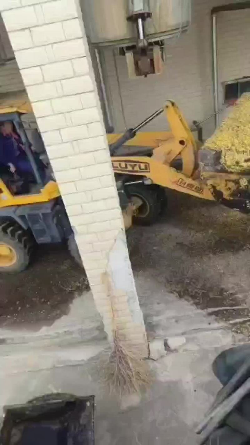 罗汉果渣