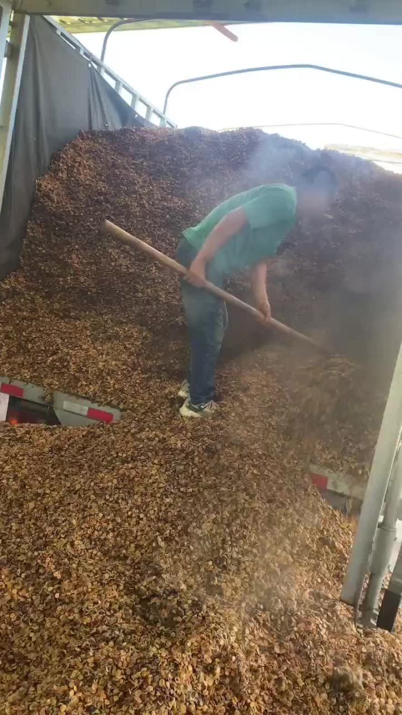 罗汉果渣