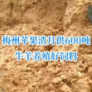 苹果渣