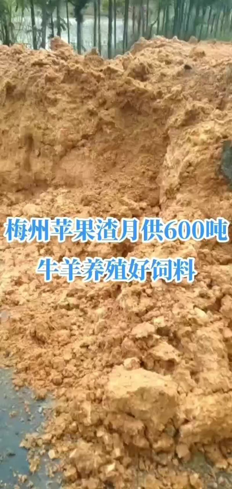 苹果渣