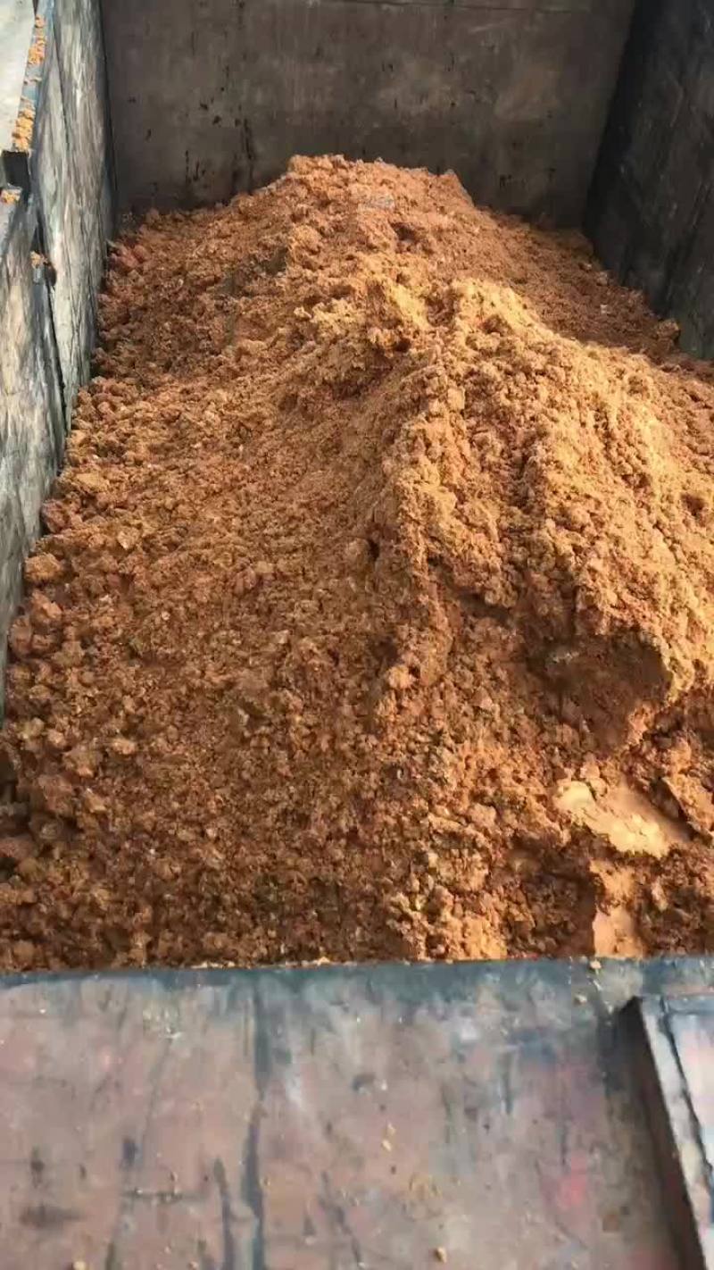 苹果渣
