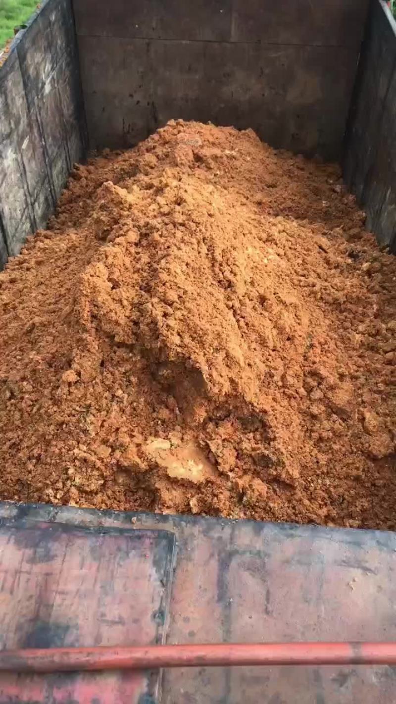 苹果渣