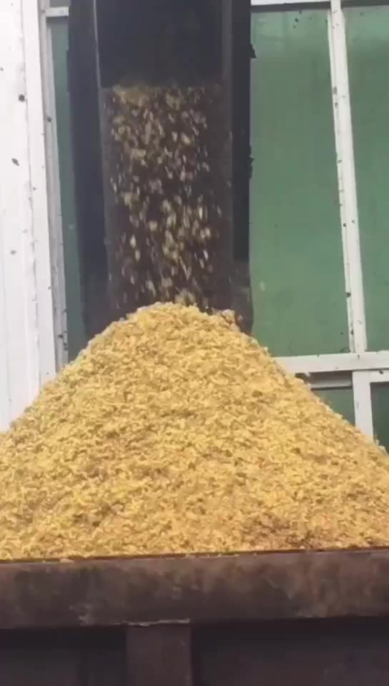 苹果渣