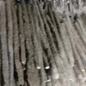 白玉通货