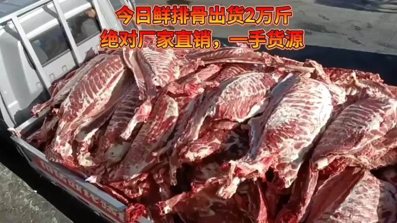 厂家直销，每天分割1000头猪当天现杀现屠宰得新鲜猪