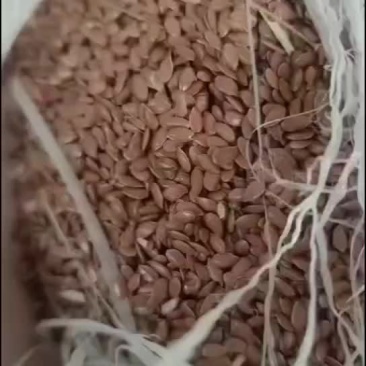 亚麻籽