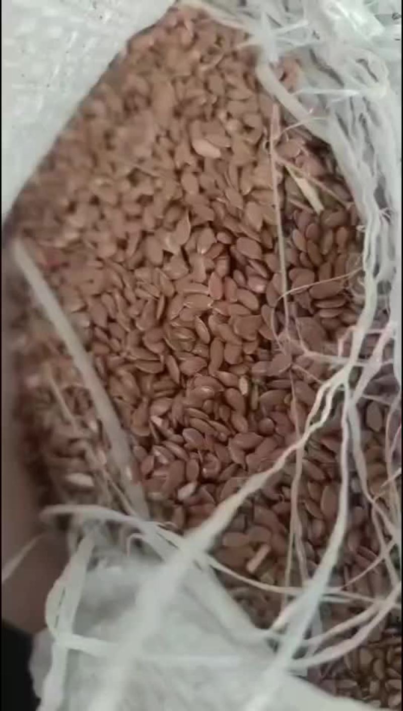亚麻籽