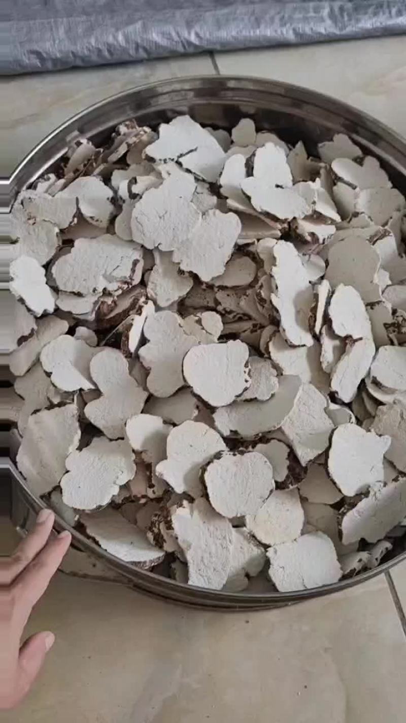 虎奶菌片