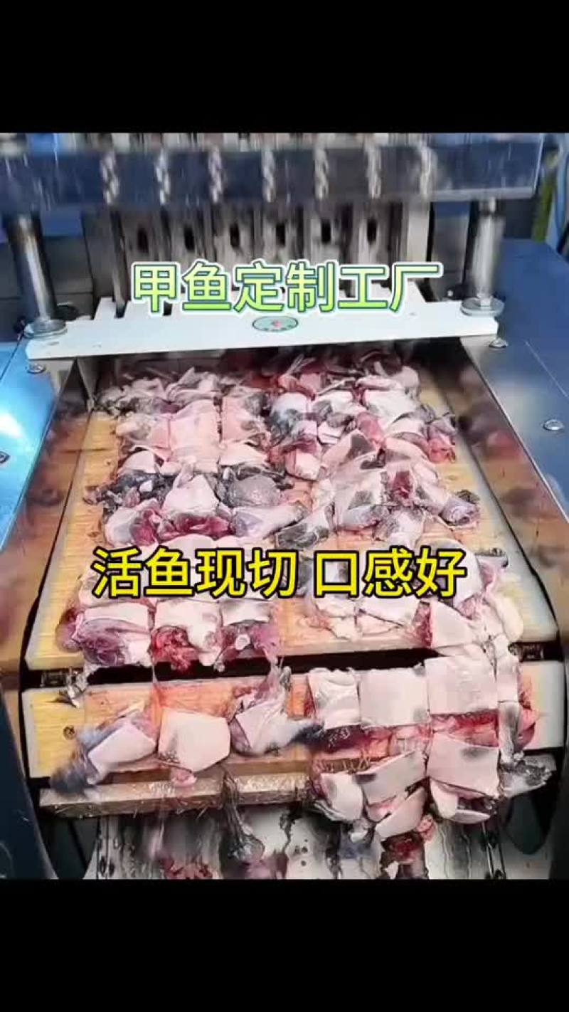 甲鱼源头养殖,供应链厂家，餐饮真空包装开袋即煮