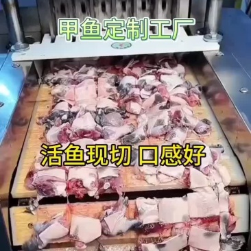 甲鱼源头养殖,供应链厂家，餐饮真空包装开袋即煮