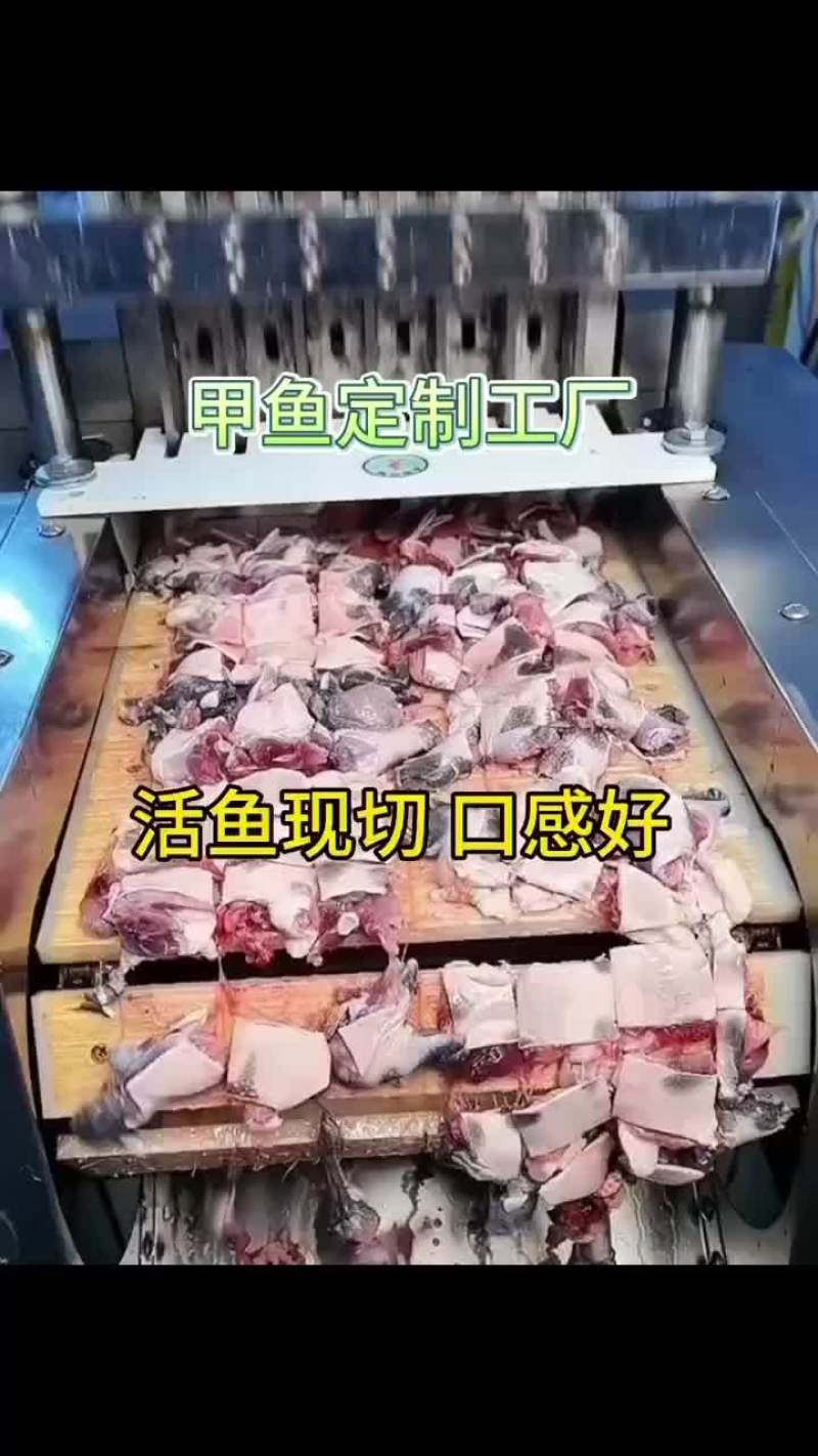 甲鱼源头养殖,供应链厂家，餐饮真空包装开袋即煮