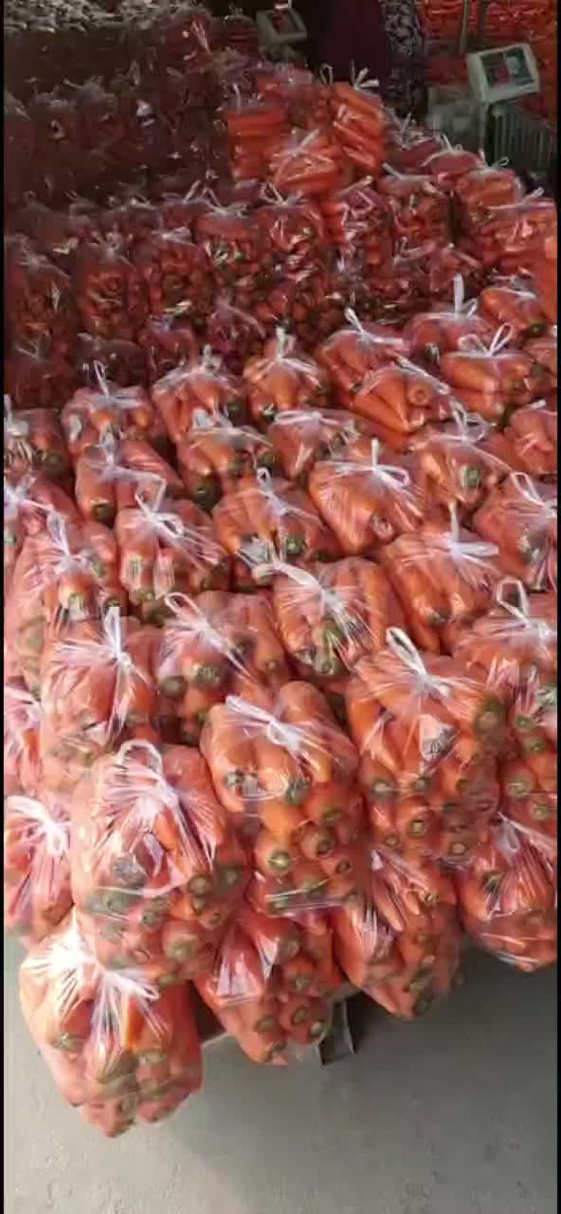东台胡萝卜大量上市，价格便宜！