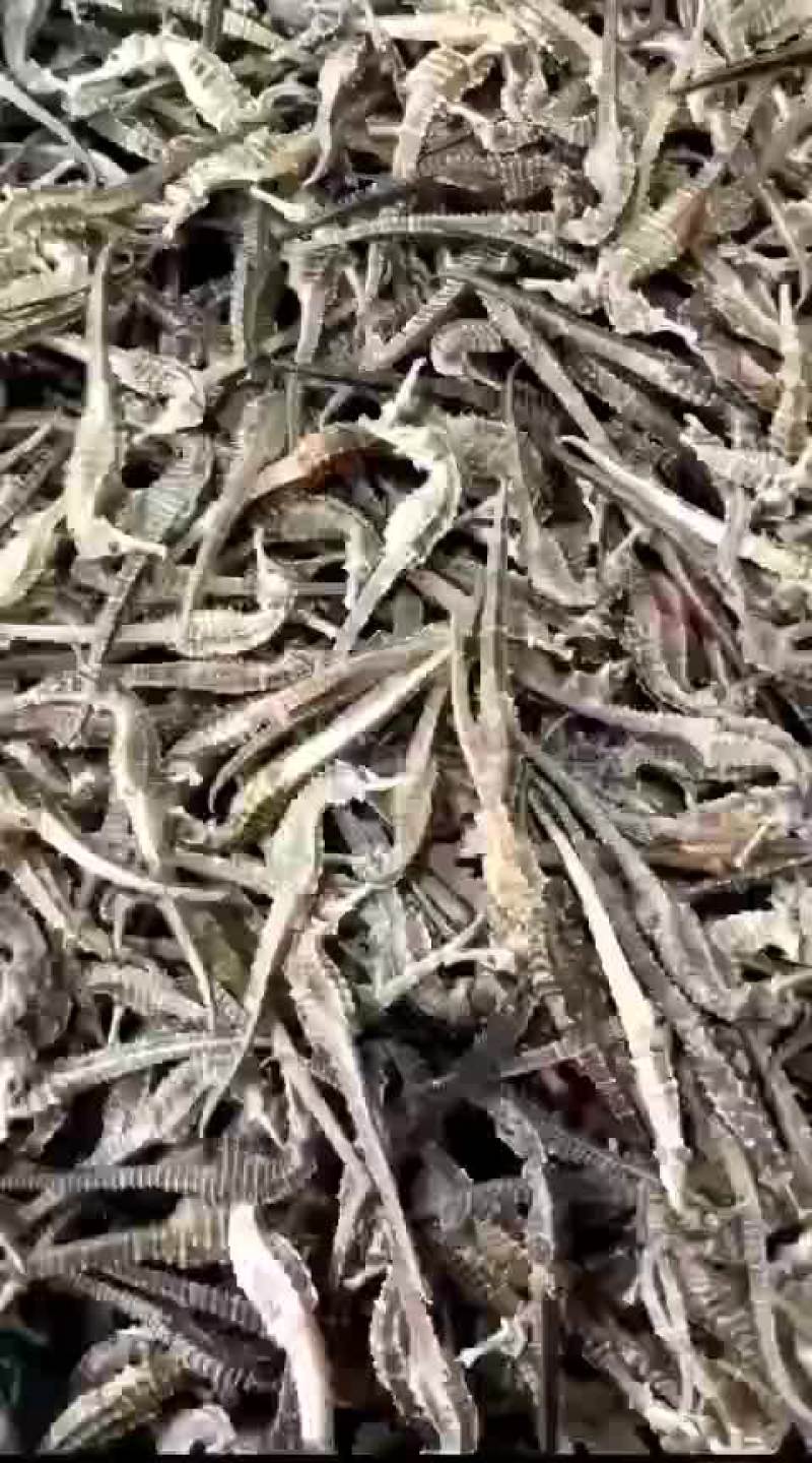 可以长期供货合作
