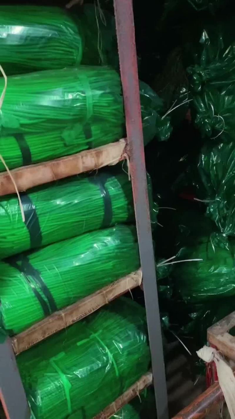 中牟精品红帽蒜苔，大量出库，需要的客商联系我