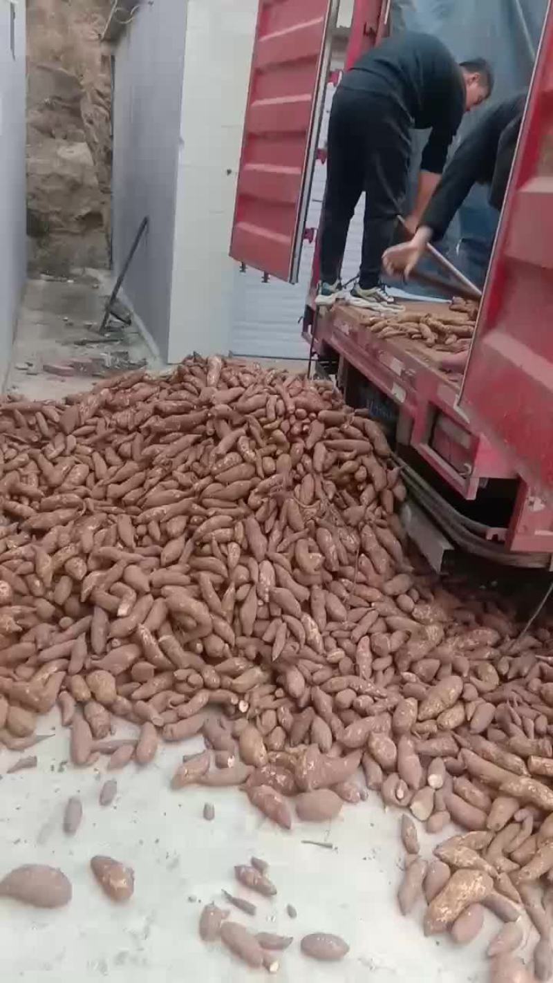 纯红薯淀粉