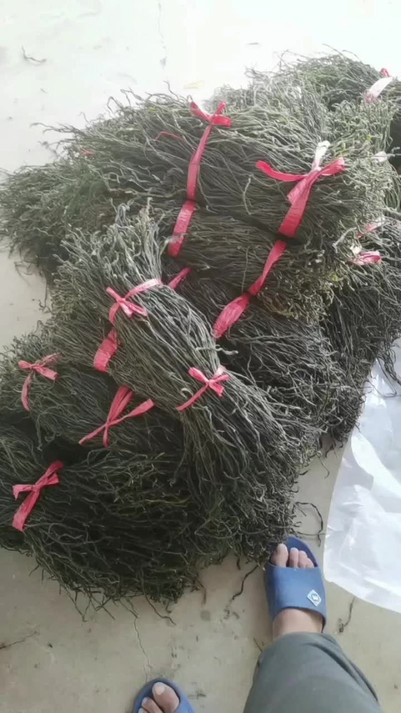 农家自制天然晾晒精品干豆角