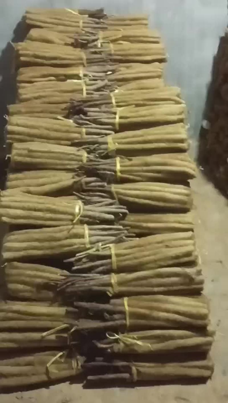 网袋货现货
