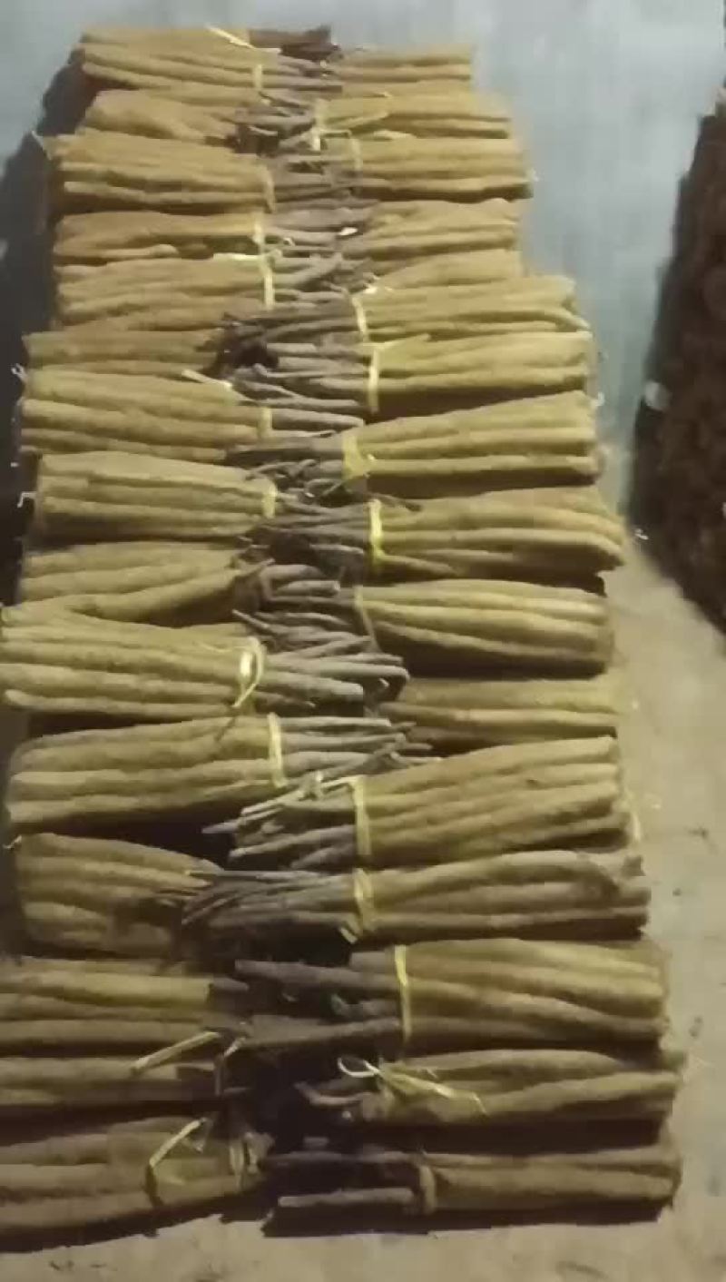 网袋货现货